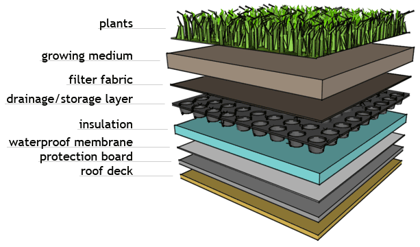layers of a green roof